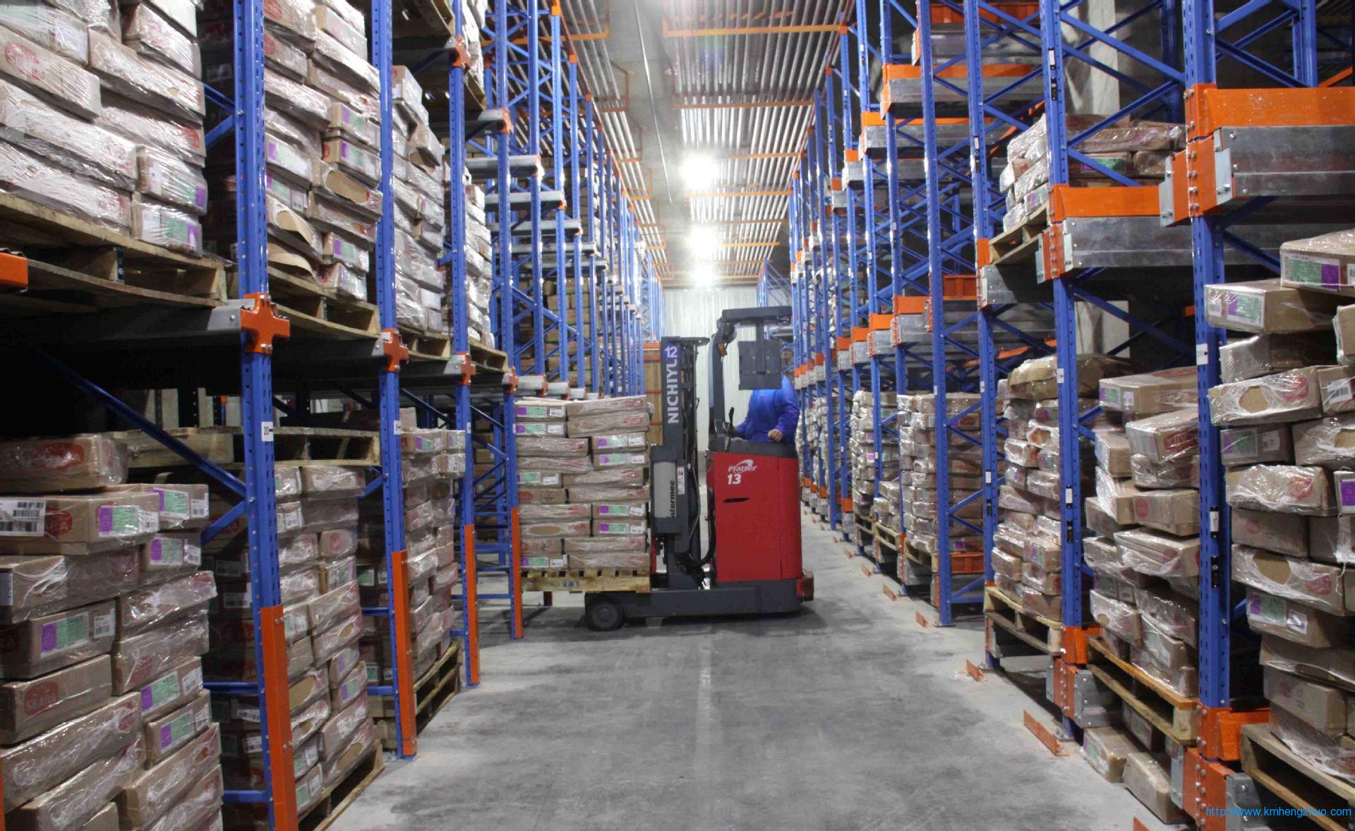 HZ-798型通廊式貨架 通廊式倉庫貨架應用案例